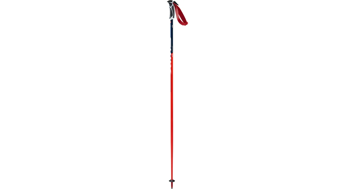 Swix Downhill poles WC Pro Slalom síbot