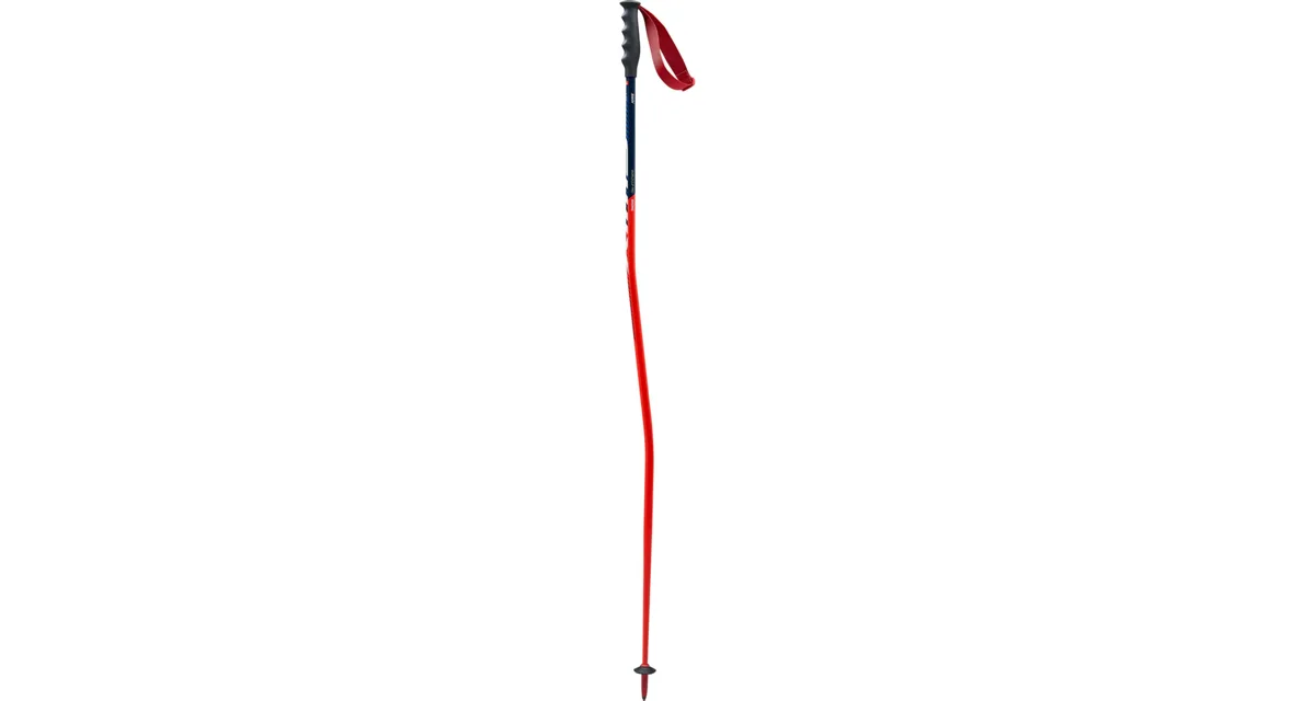 Swix Downhill poles WC Pro Super-G síbot