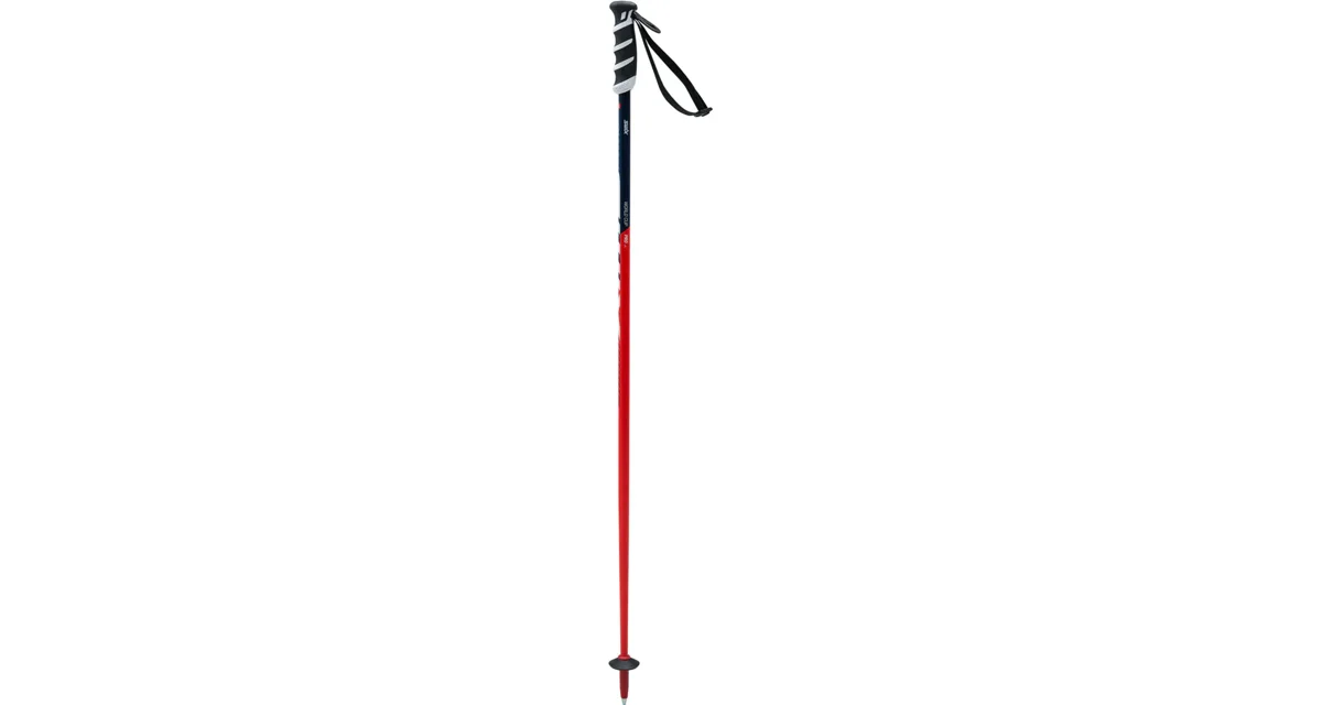 Swix Downhill poles WC PRO JR SL síbot